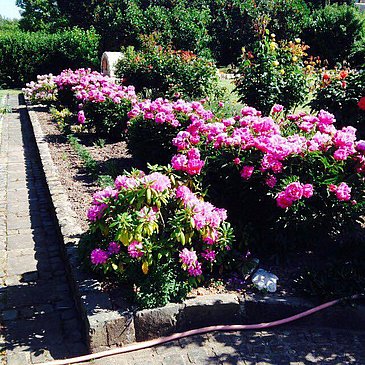 IMG-20170514-WA0017