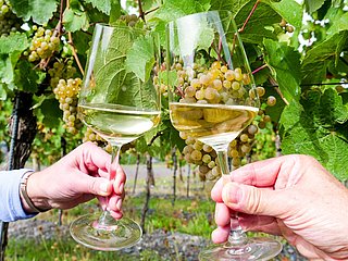 Weingenuss an der Mosel