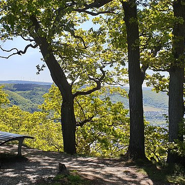 Ruhebank am Aussichtspunkt