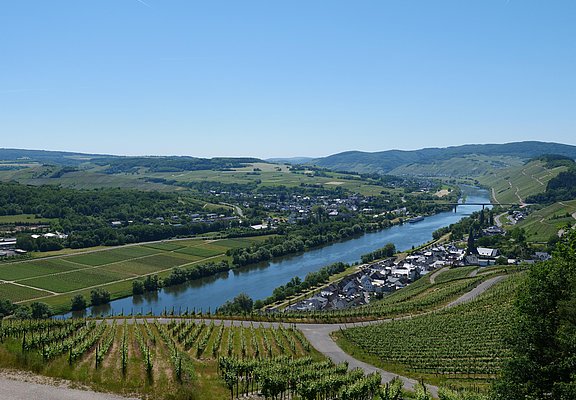 Aussciht auf Lieser