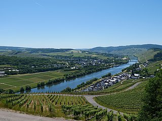 Aussciht auf Lieser