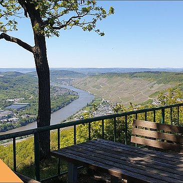 Moselsteig Seitensprung "Moseltalschanzen"