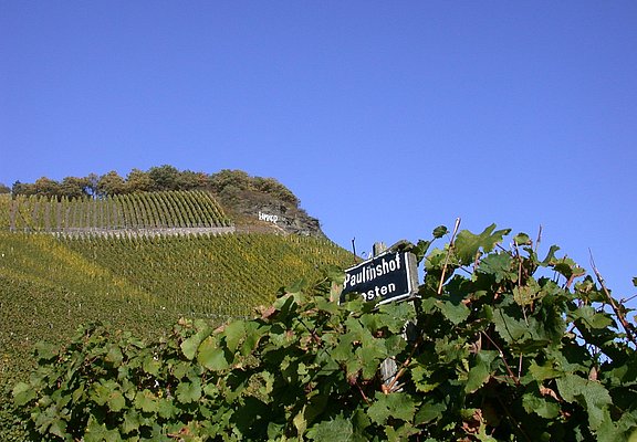 Weingut Paulinshof Kammer