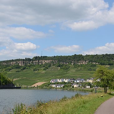 Blick auf Nittel