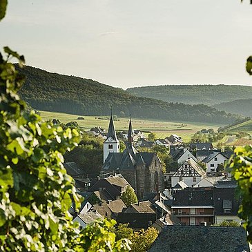 Veldenz565
