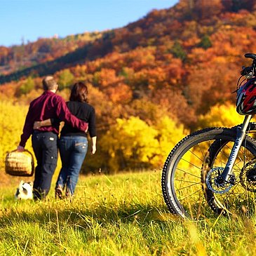 Foto Radfahren I