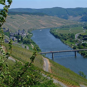 Weinort Lieser Wein- und Gaestehaus Genetsch