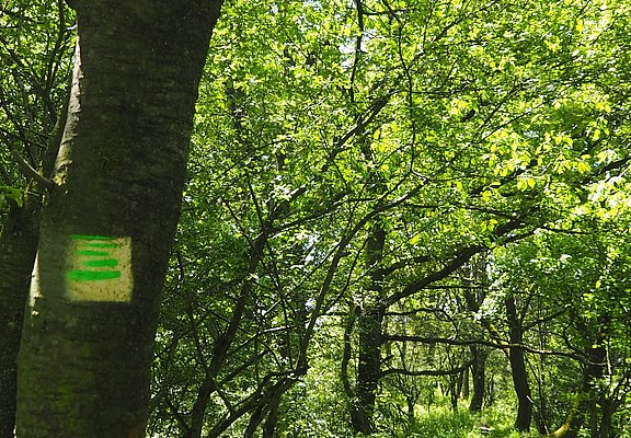 Beschilderung der Strecke
