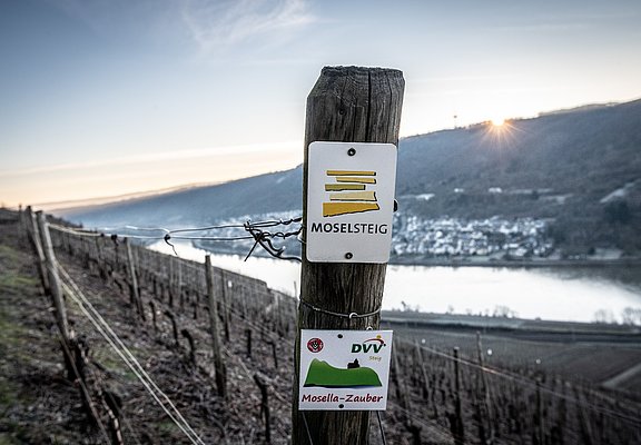 Moselsteigbeschilderung bei Winningen