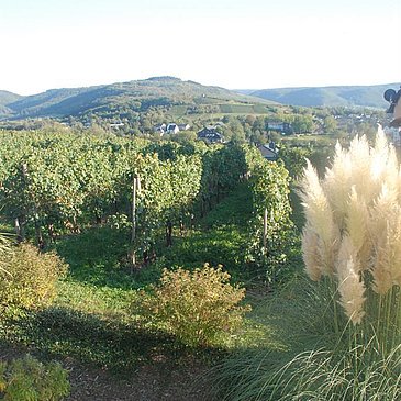 Ausblick Garten Genetsch