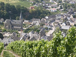 Blick von den Weinbergen auf Neumagen-Dhron