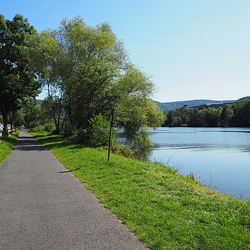Radweg am Moselufer bei Graach