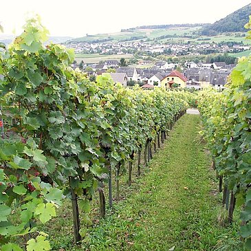 Weitblick hinter unserem Haus