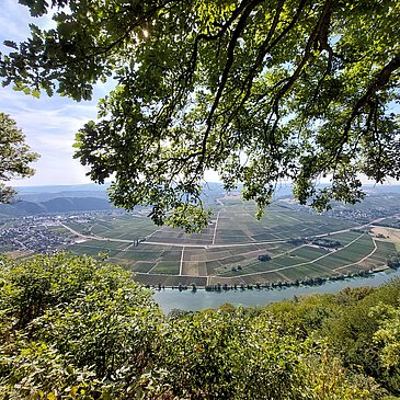 Piesport_Großer_Moselblick