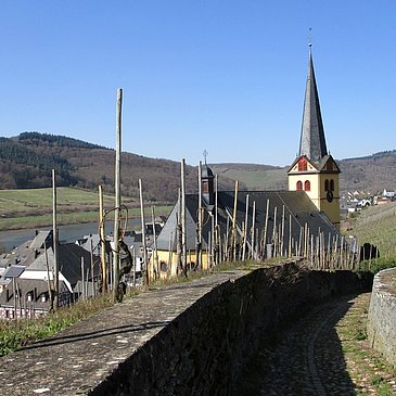 Blick auf die Kirche St. Stephanus