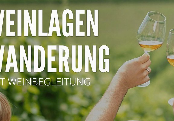 Weinlagenwanderung