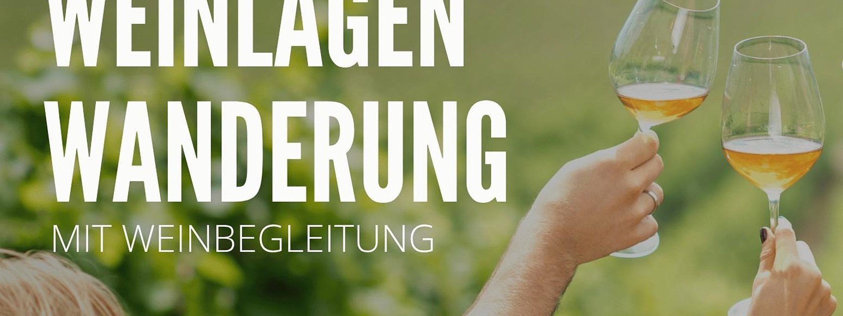 Weinlagenwanderung