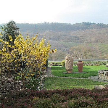 weitere Gartenansicht