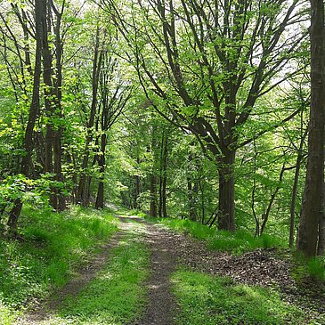 Wanderweg