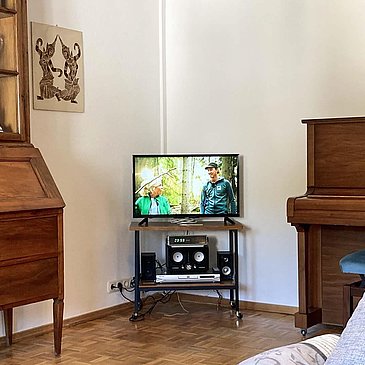 tv