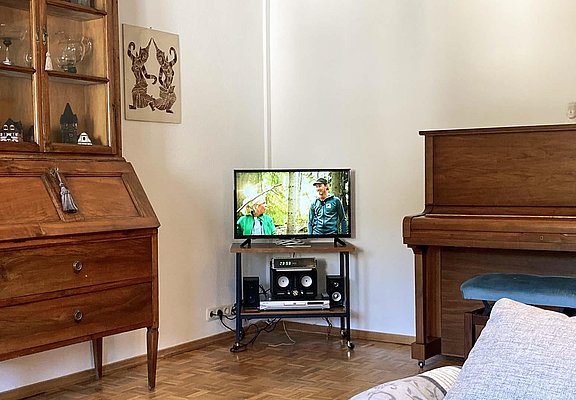tv