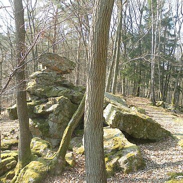 Wildstein