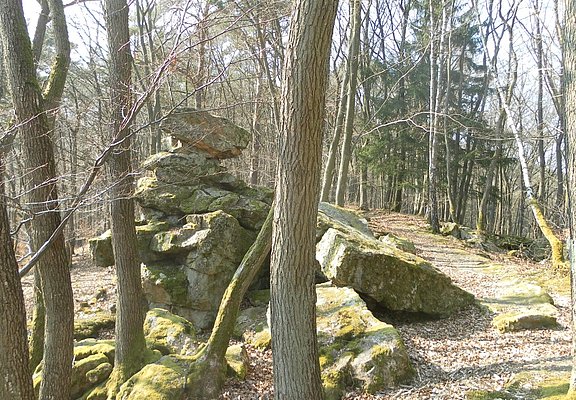 Wildstein