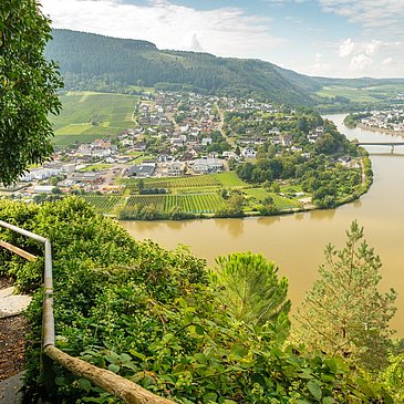 Blick vom Moselsteig auf Mehring