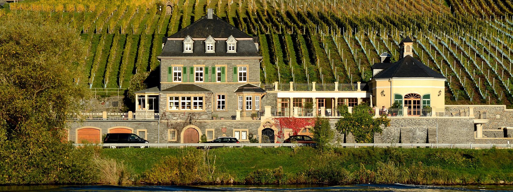 Weingut Dr. Loosen