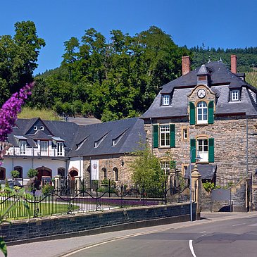 Weingut Schloss Lieser