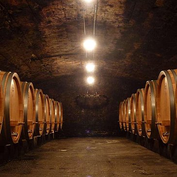 Weingut-Fass_Keller