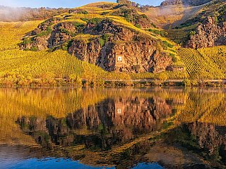 Mosel im Herbst