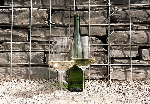 Weinprobe beim Winzer