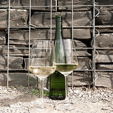 Weinprobe beim Winzer