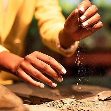 Schiefer