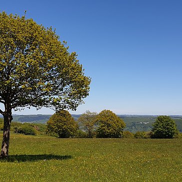 Blick in den Hunsrück
