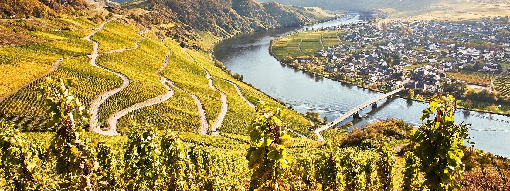 Piesport an der Mosel