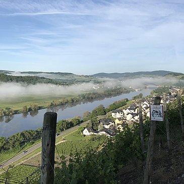 Lieserer Niederberg-Helden - Mosel - Wein- und Gae