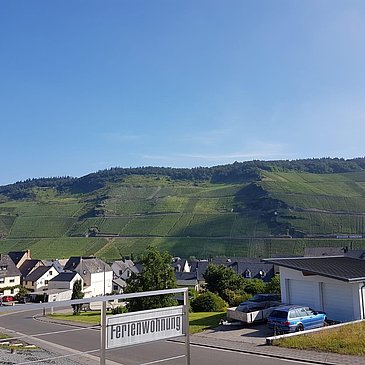 Aussicht vom Eingangsbereich FeWo